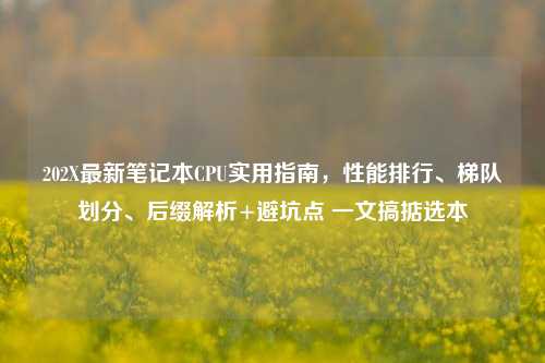202X最新笔记本CPU实用指南，性能排行、梯队划分、后缀解析+避坑点 一文搞掂选本