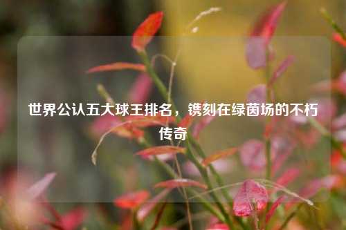 世界公认五大球王排名,镌刻在绿茵场的不朽传奇