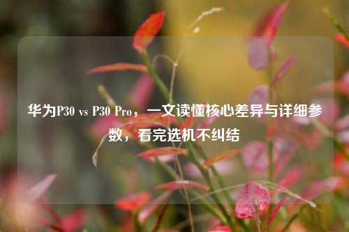 华为P30 vs P30 Pro,一文读懂核心差异与详细参数,看完选机不纠结