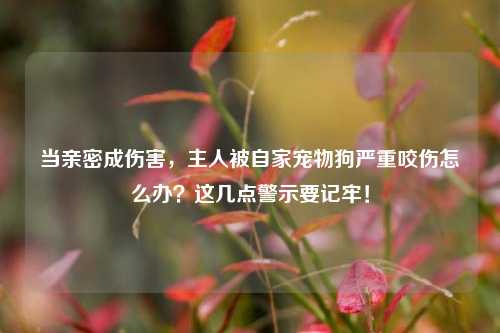 当亲密成伤害,主人被自家宠物狗严重咬伤怎么办?这几点警示要记牢!