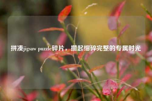 拼凑jigsaw puzzle碎片,攒起细碎完整的专属时光
