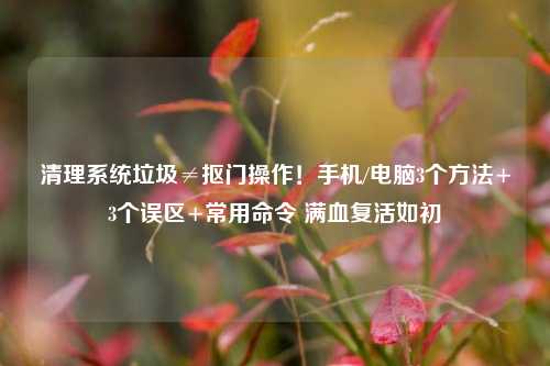 清理系统垃圾≠抠门操作!手机/电脑3个方法+3个误区+常用命令 满血复活如初
