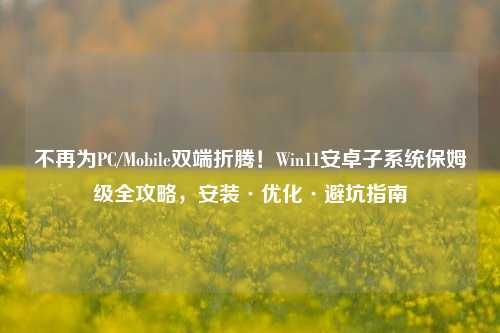 不再为PC/Mobile双端折腾!Win11安卓子系统保姆级全攻略,安装·优化·避坑指南