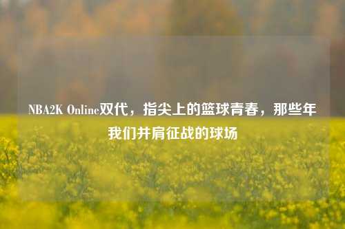 NBA2K Online双代,指尖上的篮球青春,那些年我们并肩征战的球场