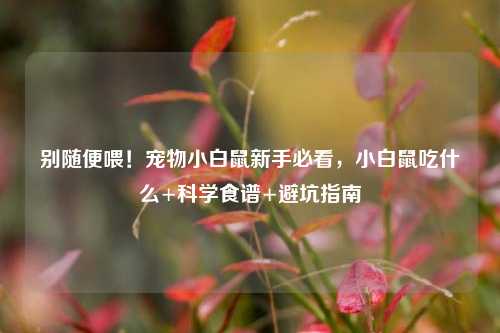 别随便喂!宠物小白鼠新手必看,小白鼠吃什么+科学食谱+避坑指南