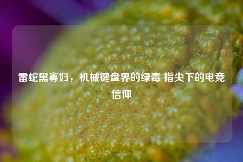 雷蛇黑寡妇,机械键盘界的绿毒 指尖下的电竞信仰