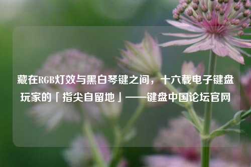 藏在RGB灯效与黑白琴键之间,十六载电子键盘玩家的「指尖自留地」——键盘中国论坛官网
