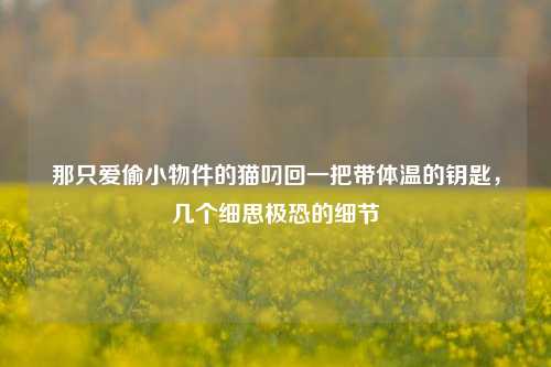 那只爱偷小物件的猫叼回一把带体温的钥匙,几个细思极恐的细节