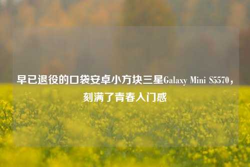 早已退役的口袋安卓小方块三星Galaxy Mini S5570,刻满了青春入门感