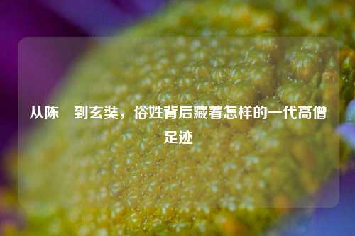 从陈祎到玄奘,俗姓背后藏着怎样的一代高僧足迹