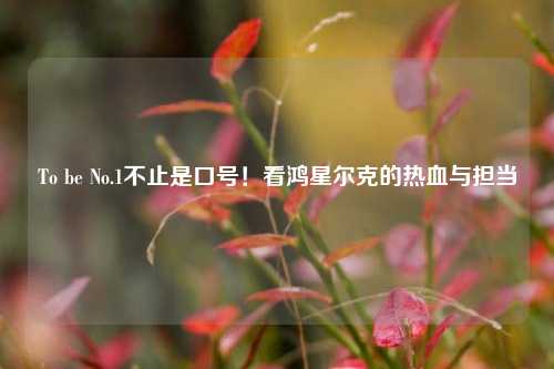 To be No.1不止是口号！看鸿星尔克的热血与担当