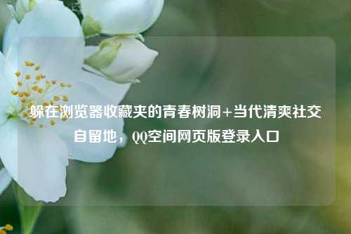 躲在浏览器收藏夹的青春树洞+当代清爽社交自留地，QQ空间网页版登录入口