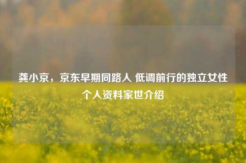 龚小京,京东早期同路人 低调前行的独立女性个人资料家世介绍