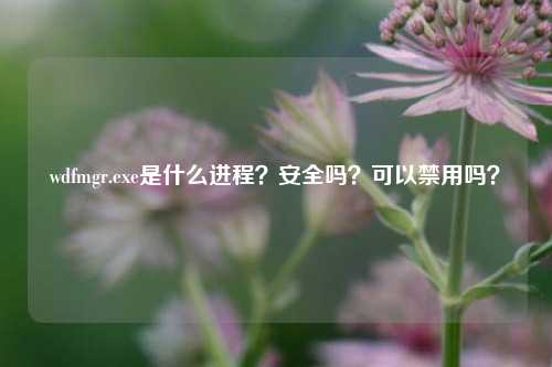 wdfmgr.exe是什么进程？安全吗？可以禁用吗？