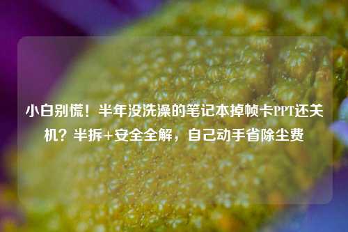 小白别慌！半年没洗澡的笔记本掉帧卡PPT还关机？半拆+安全全解，自己动手省除尘费