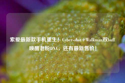 索爱最新款手机重生!Cyber-shot+Walkman双buff唤醒老粉DNA,还有最新售价!