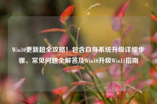 Win10更新超全攻略!包含自身系统升级详细步骤、常见问题全解答及Win10升级Win11指南