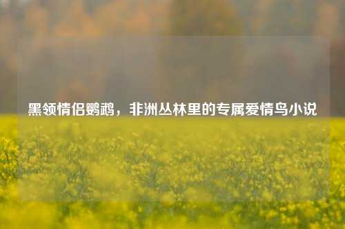 黑领情侣鹦鹉，非洲丛林里的专属爱情鸟小说