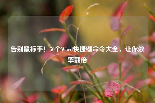 告别鼠标手!50个Word快捷键命令大全,让你效率翻倍