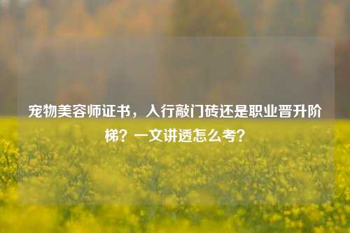 宠物美容师证书，入行敲门砖还是职业晋升阶梯？一文讲透怎么考？