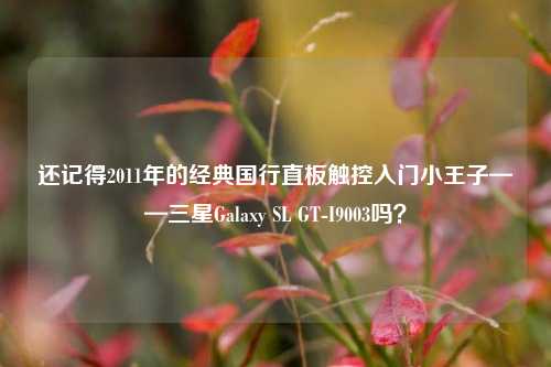 还记得2011年的经典国行直板触控入门小王子——三星Galaxy SL GT-I9003吗?
