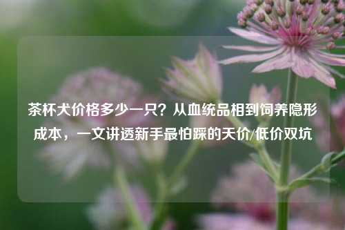 茶杯犬价格多少一只？从血统品相到饲养隐形成本，一文讲透新手最怕踩的天价/低价双坑