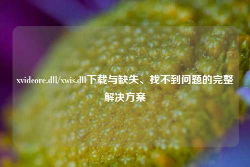 xvidcore.dll/xwis.dll下载与缺失、找不到问题的完整解决方案