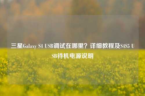 三星Galaxy S4 USB调试在哪里?详细教程及S4S5 USB待机电源说明