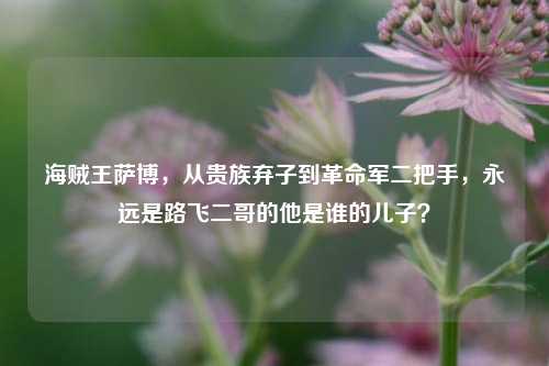 海贼王萨博，从贵族弃子到革命军二把手，永远是路飞二哥的他是谁的儿子？