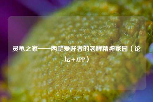 灵龟之家——两爬爱好者的老牌精神家园(论坛+APP)