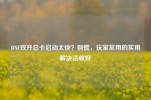 DNF双开总卡启动太快？别慌，玩家常用的实用解决法收好