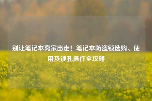 别让笔记本离家出走!笔记本防盗锁选购、使用及锁孔操作全攻略