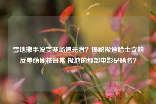 雪地撒手没变赛场追光者?揭秘极速哈士奇的反差萌硬核日常 极地的那部电影是啥名?