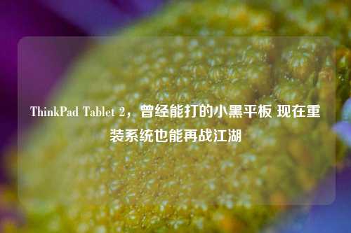 ThinkPad Tablet 2，曾经能打的小黑平板 现在重装系统也能再战江湖