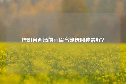 挂阳台西墙的画眉鸟笼选哪种最好?