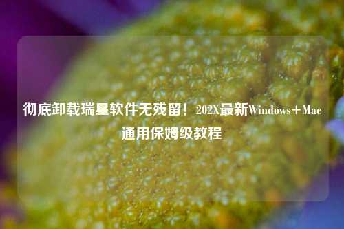 彻底卸载瑞星软件无残留!202X最新Windows+Mac通用保姆级教程