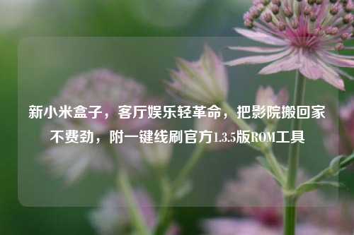 新小米盒子,客厅娱乐轻革命,把影院搬回家不费劲,附一键线刷官方1.3.5版ROM工具