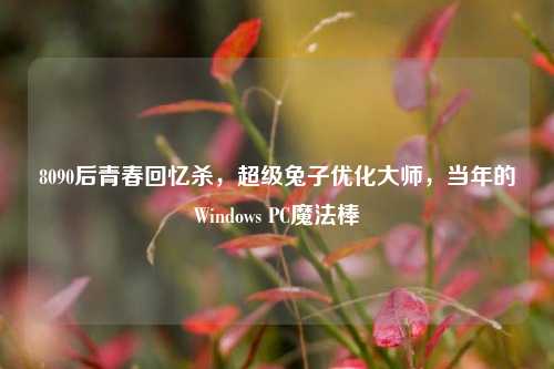 8090后青春回忆杀,超级兔子优化大师,当年的Windows PC魔法棒