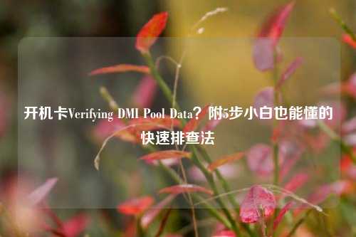 开机卡Verifying DMI Pool Data?附5步小白也能懂的快速排查法