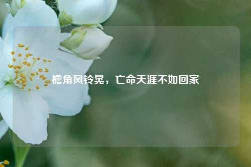 檐角风铃晃，亡命天涯不如回家