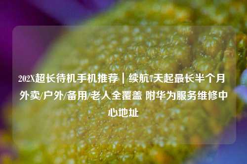 202X超长待机手机推荐|续航7天起最长半个月 外卖/户外/备用/老人全覆盖 附华为服务维修中心地址