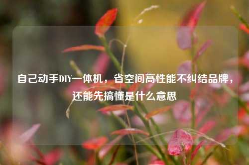 自己动手DIY一体机,省空间高性能不纠结品牌,还能先搞懂是什么意思