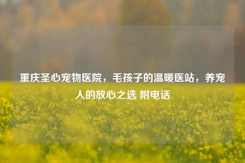 重庆圣心宠物医院,毛孩子的温暖医站,养宠人的放心之选 附电话