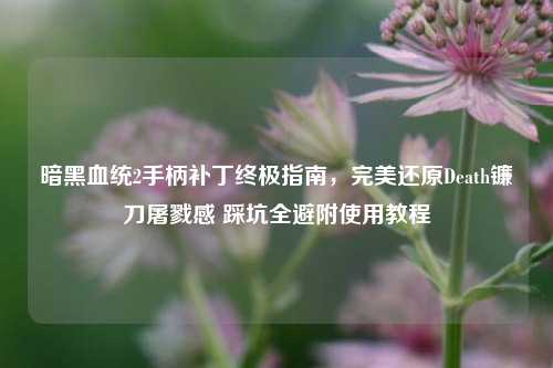 暗黑血统2手柄补丁终极指南,完美还原Death镰刀屠戮感 踩坑全避附使用教程