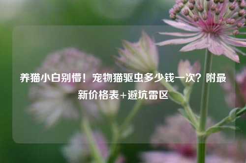 养猫小白别懵！宠物猫驱虫多少钱一次？附最新价格表+避坑雷区