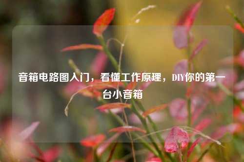 音箱电路图入门，看懂工作原理，DIY你的第一台小音箱