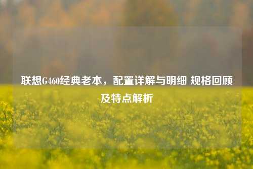 联想G460经典老本,配置详解与明细 规格回顾及特点解析