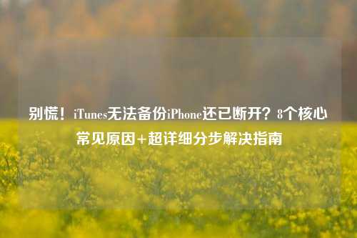 别慌!iTunes无法备份iPhone还已断开?8个核心常见原因+超详细分步解决指南