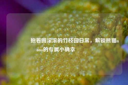 🎋抱着圆滚滚的竹枝园日常,解锁熊猫nono的专属小确幸🐼