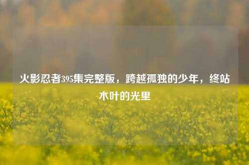 火影忍者395集完整版,跨越孤独的少年,终站木叶的光里